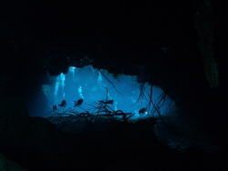The famous entrance of Cenote Carwash in Mexico. The pict... by Brenda De Vries 